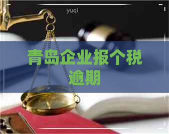 青岛企业报个税逾期