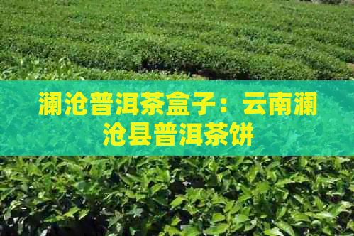 澜沧普洱茶盒子：云南澜沧县普洱茶饼