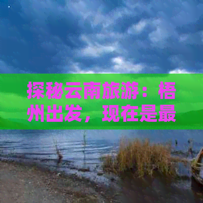 探秘云南旅游：梧州出发，现在是更佳时机吗？