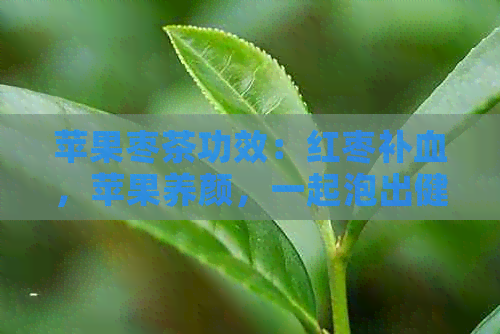 苹果枣茶功效：红枣补血，苹果养颜，一起泡出健美丽！