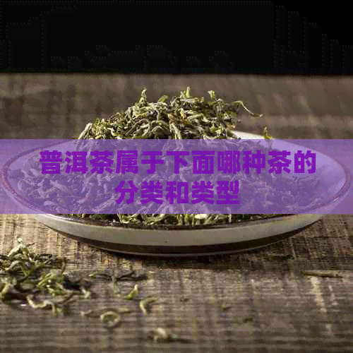 普洱茶属于下面哪种茶的分类和类型