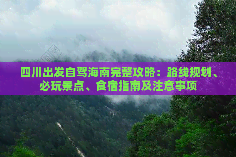 四川出发自驾海南完整攻略：路线规划、必玩景点、食宿指南及注意事项