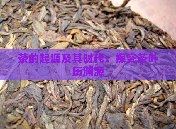 茶的起源及其时代：探究茶叶历渊源