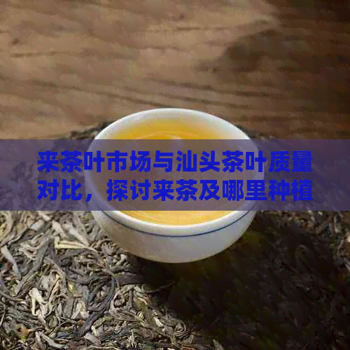 来茶叶市场与汕头茶叶质量对比，探讨来茶及哪里种植优质茶叶。