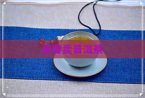 来专卖普洱茶