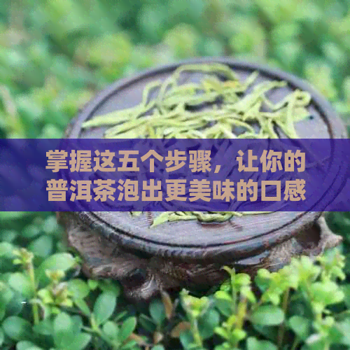 掌握这五个步骤，让你的普洱茶泡出更美味的口感