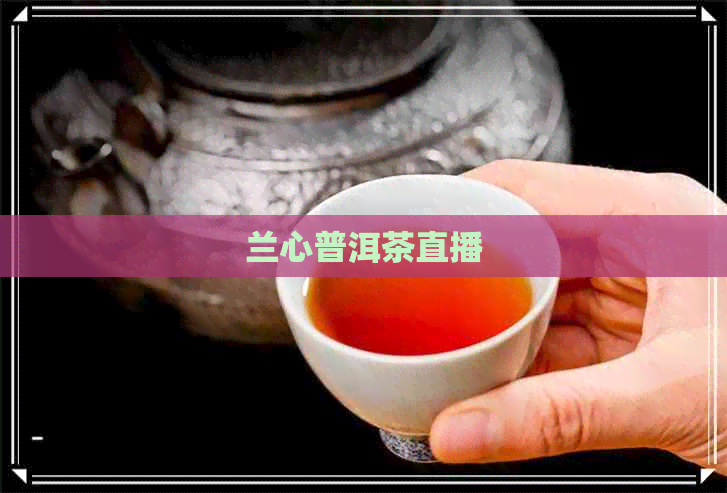 兰心普洱茶直播