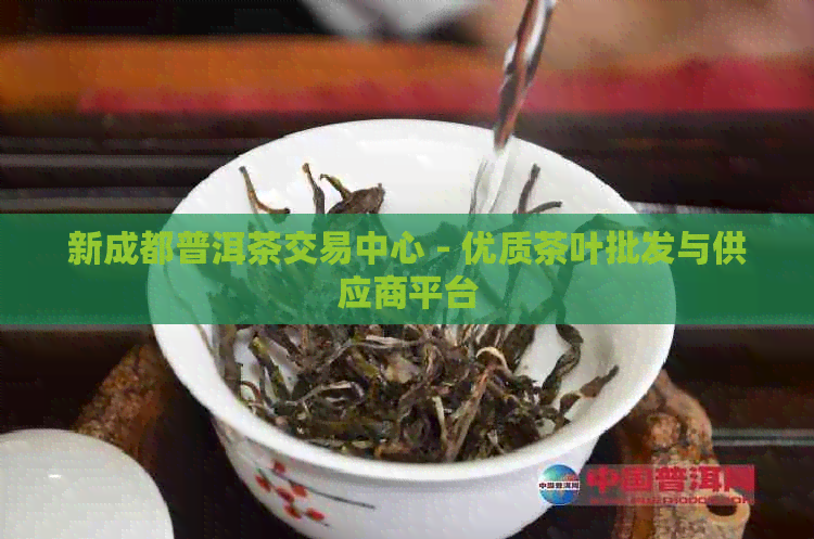 新成都普洱茶交易中心 - 优质茶叶批发与供应商平台