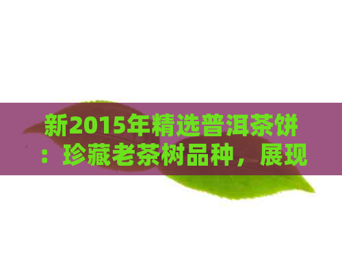 新2015年精选普洱茶饼：珍藏老茶树品种，展现独特风味与陈化价值