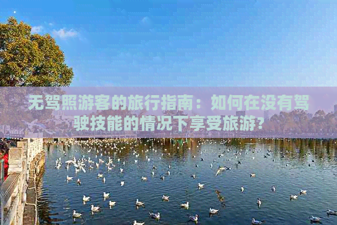 无驾照游客的旅行指南：如何在没有驾驶技能的情况下享受旅游？