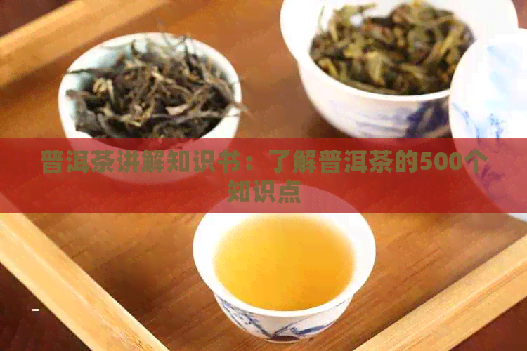 普洱茶讲解知识书：了解普洱茶的500个知识点