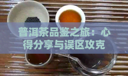 普洱茶品鉴之旅：心得分享与误区攻克