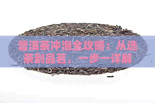 普洱茶冲泡全攻略：从选茶到品茗，一步一详解