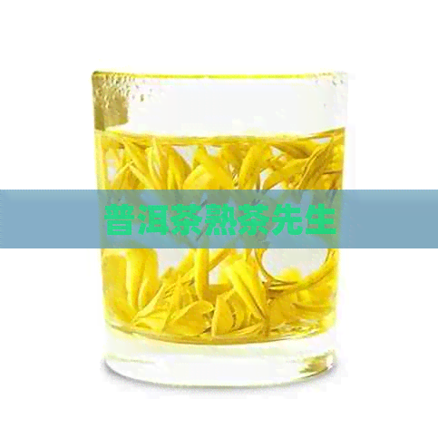 普洱茶熟茶先生