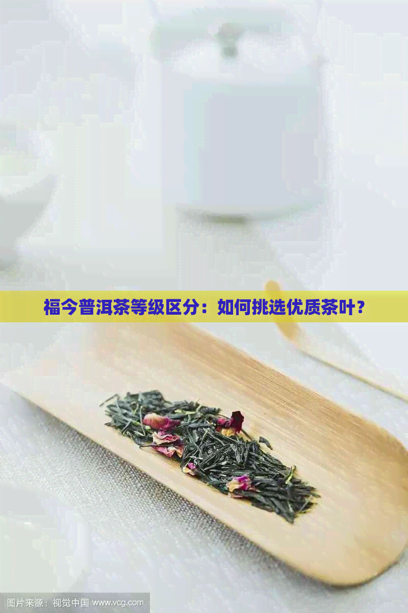 福今普洱茶等级区分：如何挑选优质茶叶？