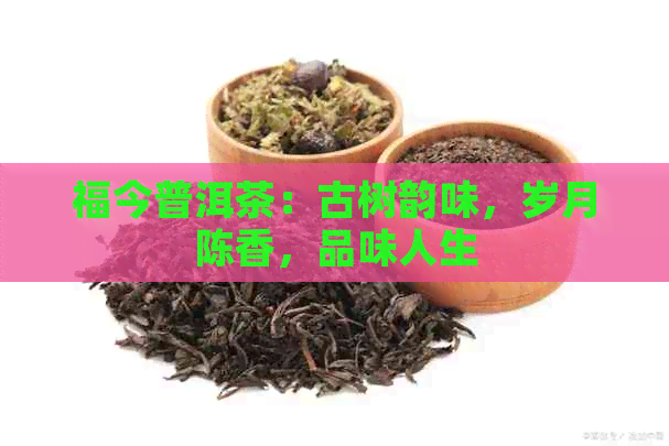 福今普洱茶：古树韵味，岁月陈香，品味人生