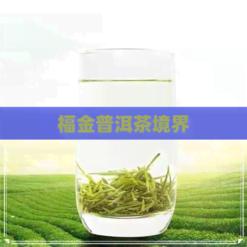 福金普洱茶境界