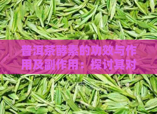 普洱茶酵素的功效与作用及副作用：探讨其对健的益处和潜在风险