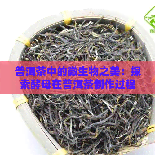 普洱茶中的微生物之美：探索酵母在普洱茶制作过程中的作用