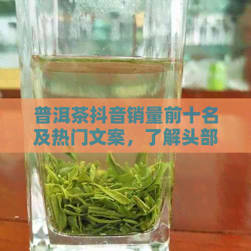 普洱茶抖音销量前十名及热门文案，了解头部主播和产品分类