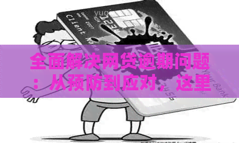 全面解决网贷逾期问题：从预防到应对，这里有你需要的所有信息和支持！