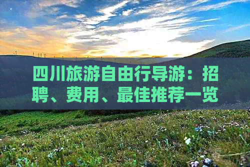 四川旅游自由行导游：招聘、费用、更佳推荐一览