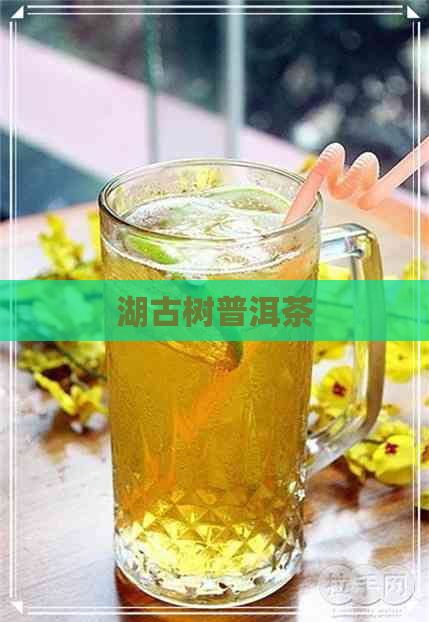 湖古树普洱茶