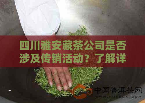 四川雅安藏茶公司是否涉及传销活动？了解详细情况及判断依据。