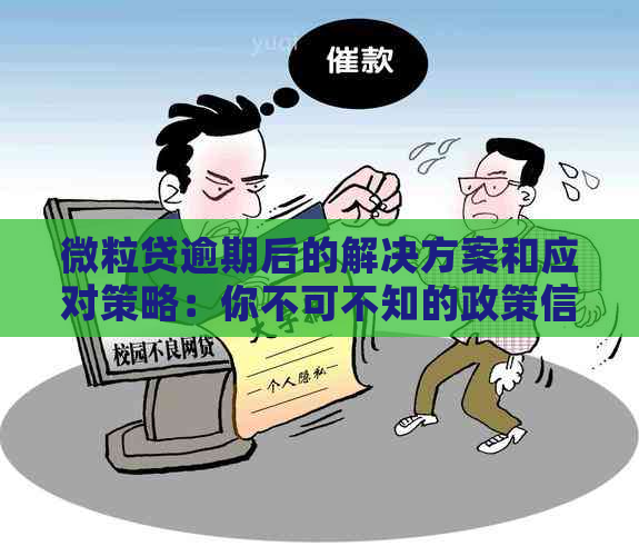 微粒贷逾期后的解决方案和应对策略：你不可不知的政策信息