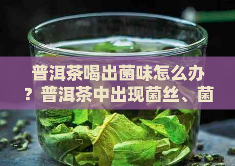 普洱茶喝出菌味怎么办？普洱茶中出现菌丝、菌香和霉味的原因及解决方法。