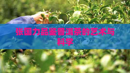 张国力品鉴普洱茶的艺术与科学