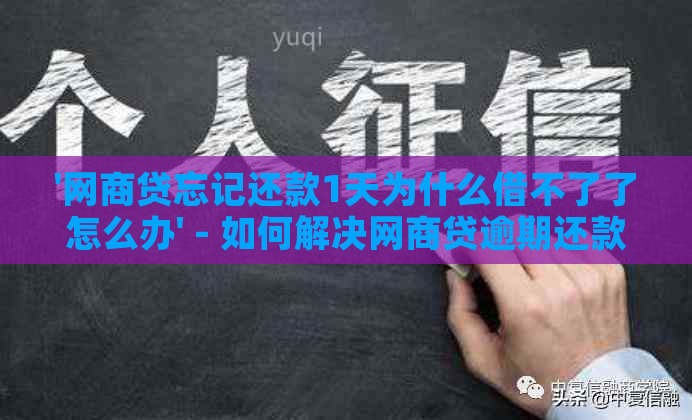 '网商贷忘记还款1天为什么借不了了怎么办' - 如何解决网商贷逾期还款问题