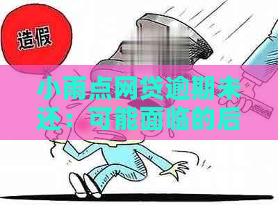 小雨点网贷逾期未还：可能面临的后果与解决方法有哪些？