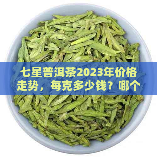 七星普洱茶2023年价格走势，每克多少钱？哪个比较好？