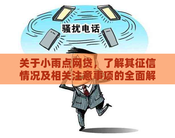 关于小雨点网贷，了解其情况及相关注意事项的全面解析