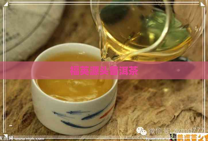 福英源头普洱茶