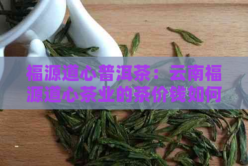 福源道心普洱茶：云南福源道心茶业的茶价钱如何？