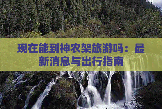 现在能到神农架旅游吗：最新消息与出行指南