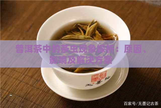 普洱茶中的茶虫现象探析：原因、影响及解决方案