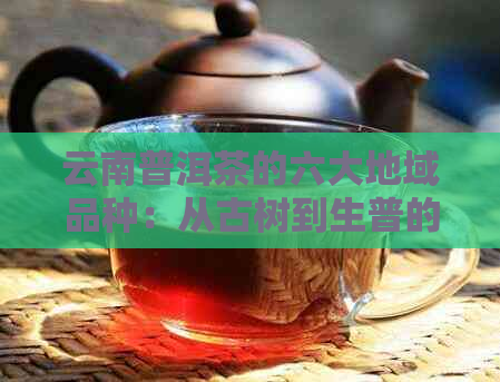 云南普洱茶的六大地域品种：从古树到生普的区别解析