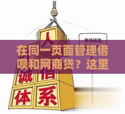 在同一页面管理借呗和网商贷？这里有全面解决方案！