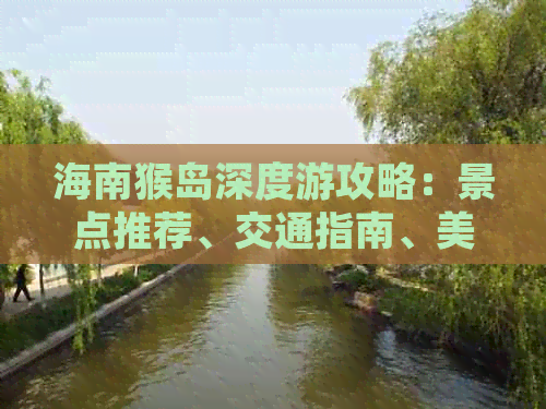 海南猴岛深度游攻略：景点推荐、交通指南、美食住宿一站式指南