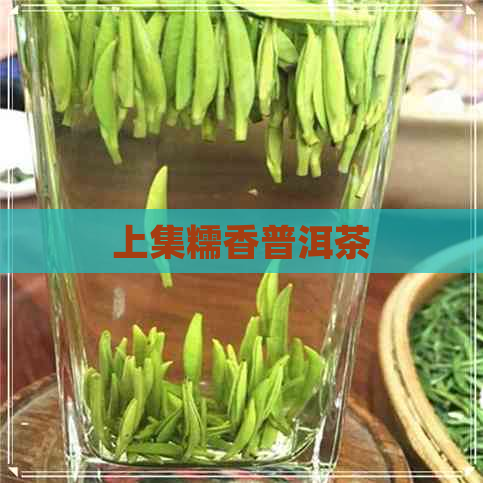 上集糯香普洱茶