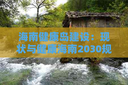 海南健康岛建设：现状与健康海南2030规划纲要及健康城发展方案