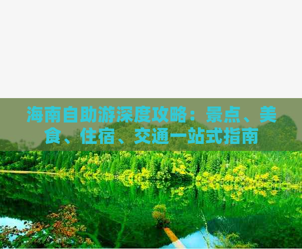 海南自助游深度攻略：景点、美食、住宿、交通一站式指南