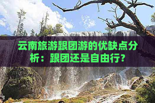 云南旅游跟团游的优缺点分析：跟团还是自由行？