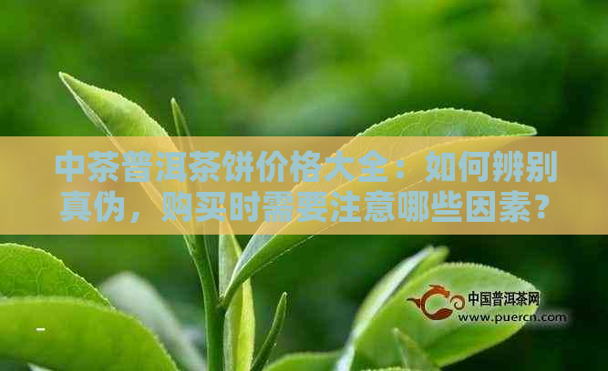 中茶普洱茶饼价格大全：如何辨别真伪，购买时需要注意哪些因素？