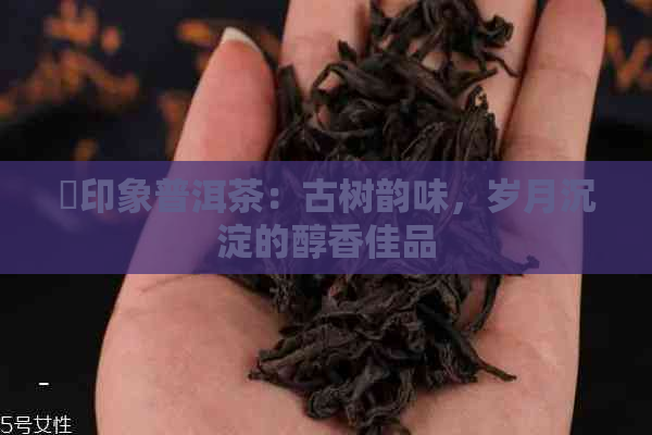 瑧印象普洱茶：古树韵味，岁月沉淀的醇香佳品