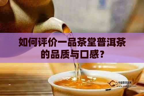 如何评价一品茶堂普洱茶的品质与口感？