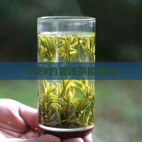 9块9的普洱茶能喝吗